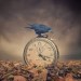 Autor: rober | ES | Desde Oct/2016 Autor: rober | ES | Desde Oct/2016