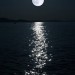Poeta: Luna | PE | Desde Mar/2019 Poeta: Luna | PE | Desde Mar/2019
