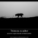 Escritor: el poeta triste | NI | Desde Mayo/2014 Escritor: el poeta triste | NI | Desde Mayo/2014