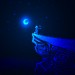 Poeta: LA CHICA DE TUS LUNAS | MX | Desde Ago/2014 Poeta: LA CHICA DE TUS LUNAS | MX | Desde Ago/2014