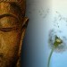 Poeta: Omnia Nihils | VE | Desde Dic/2012 Poeta: Omnia Nihils | VE | Desde Dic/2012