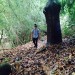 Escritor: Un escritor mas. | CO | Desde Ene/2016 Escritor: Un escritor mas. | CO | Desde Ene/2016